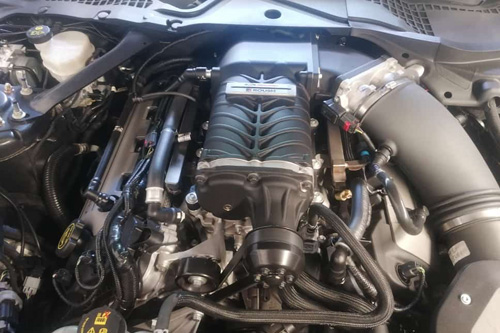 Vale Fleet Mustang Engine Dyno Testing
